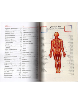 DICTIONNAIRE DES ELEVES ARABE FRANCAIS PETIT FORMAT