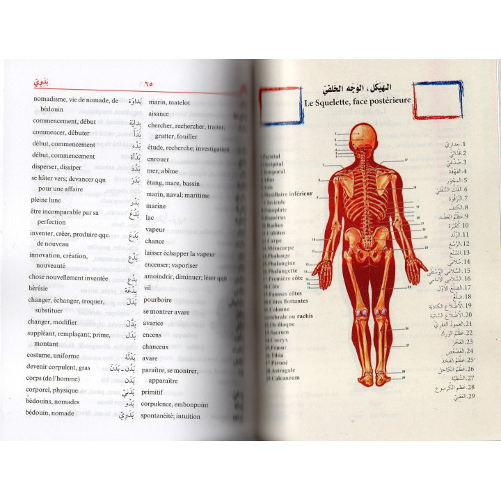 DICTIONNAIRE DES ELEVES ARABE FRANCAIS PETIT FORMAT