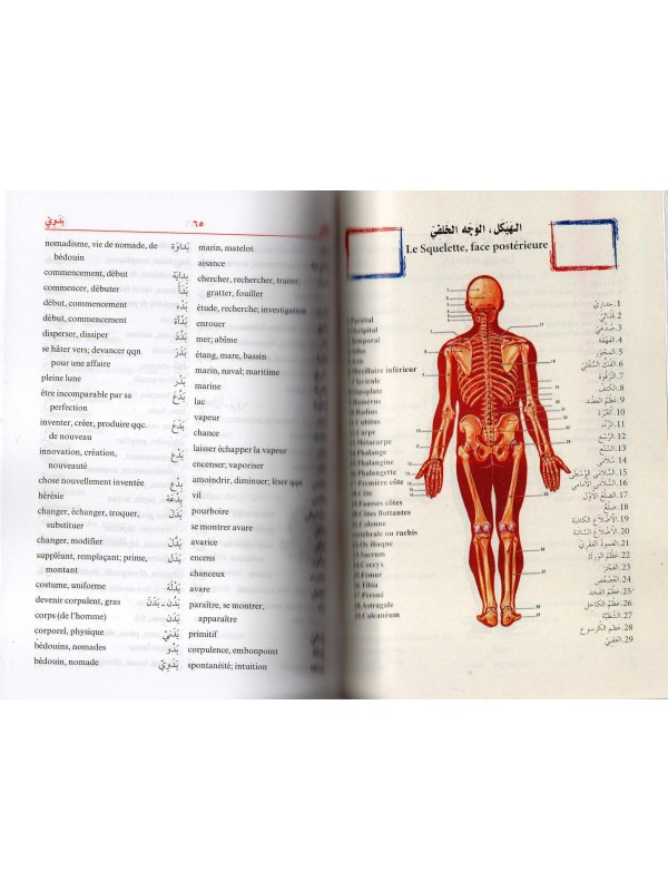 DICTIONNAIRE DES ELEVES ARABE FRANCAIS PETIT FORMAT