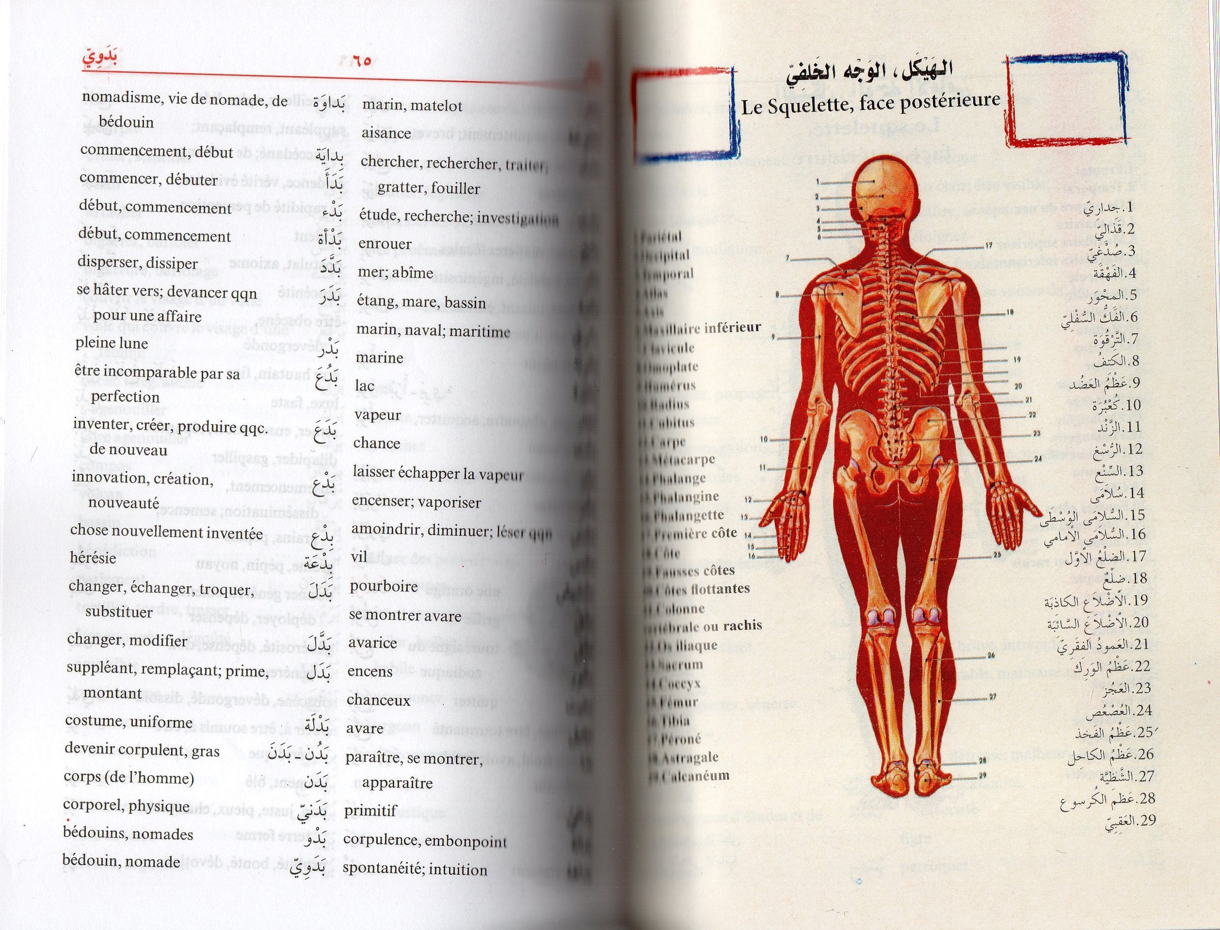 DICTIONNAIRE DES ELEVES ARABE FRANCAIS PETIT FORMAT