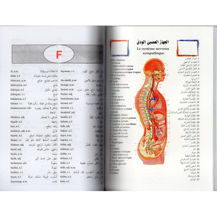 DICTIONNAIRE DES ELEVES  FRANCAIS ARABE PETIT FORMAT