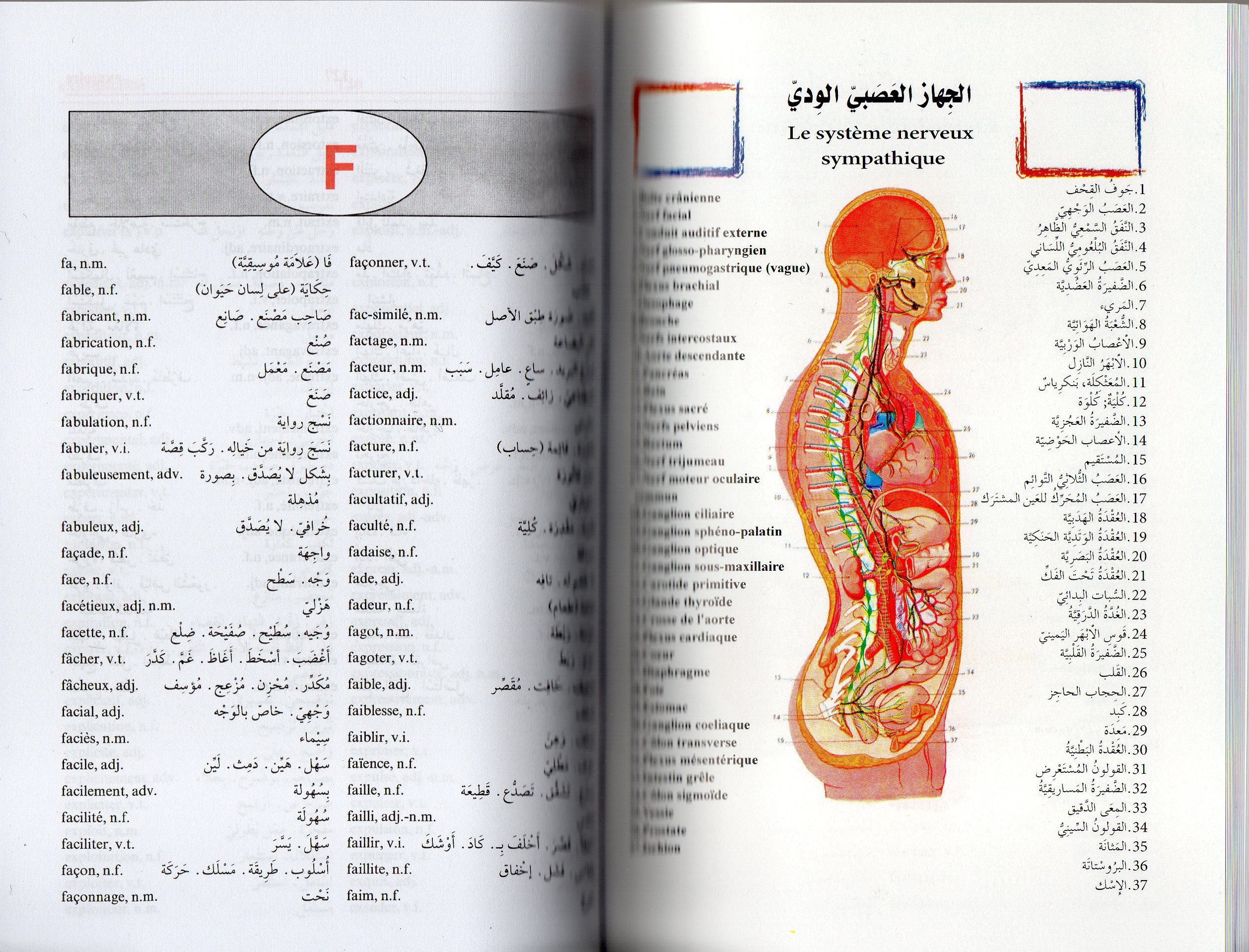 DICTIONNAIRE DES ELEVES  FRANCAIS ARABE PETIT FORMAT