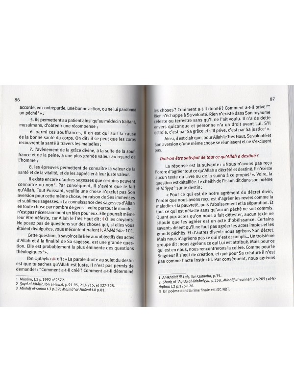 Comment comprendre le Destin ?