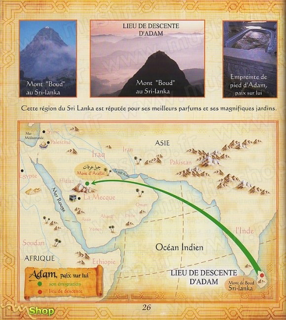 Les Histoires des Prophètes racontées par le Coran - Tome 1 : Adam, Noe et Idriss