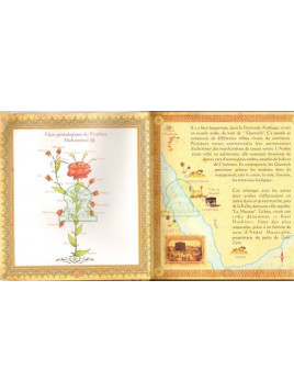 Les Histoires des Prophètes Racontées par le Coran - Tome 9 : Mohammed, le Bien-Aimé d'Allah