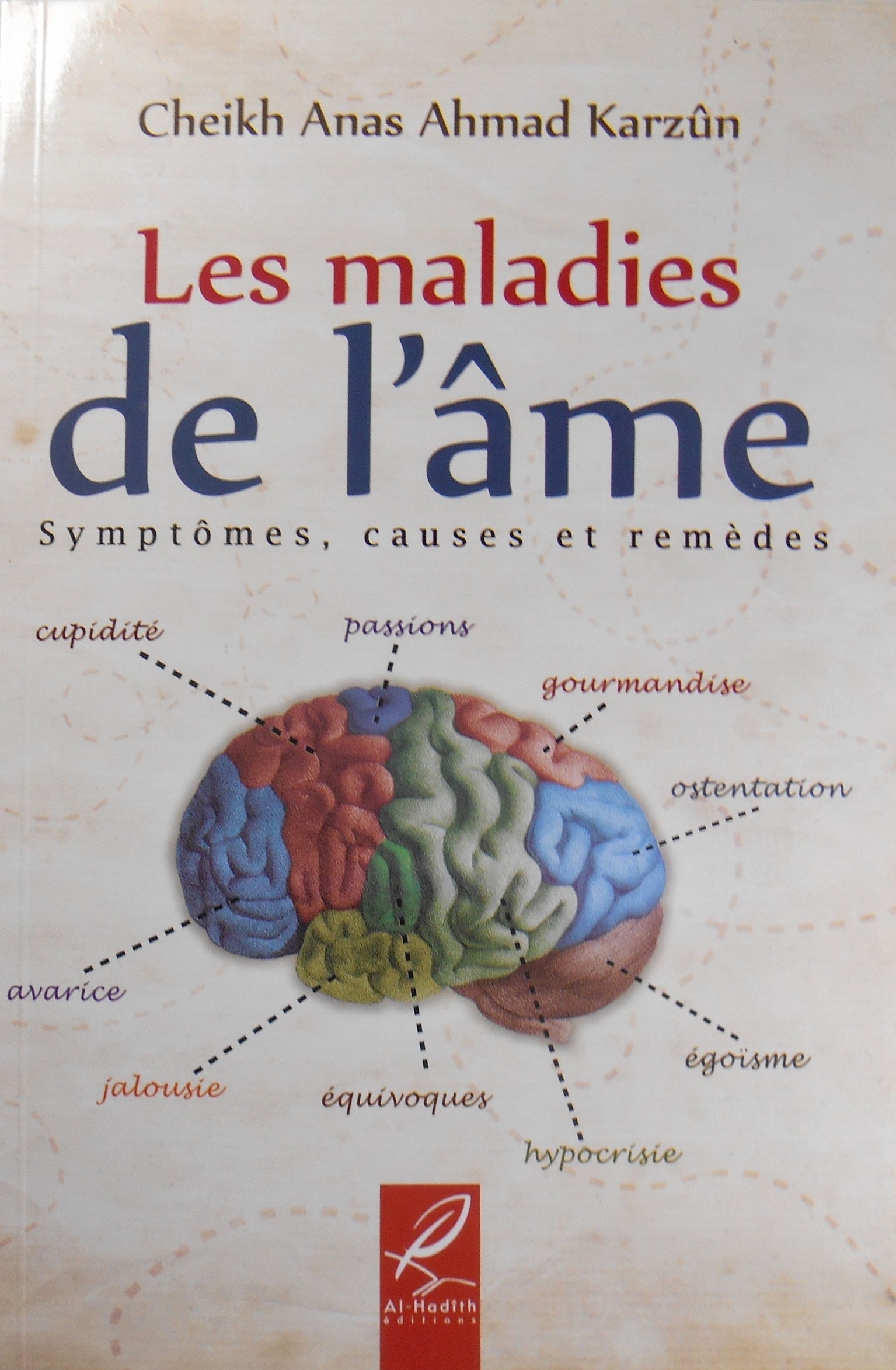Les maladies de l'âme