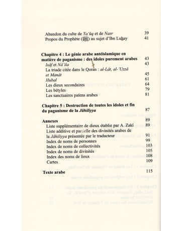 Le Livre des idoles IBN AL KALBI