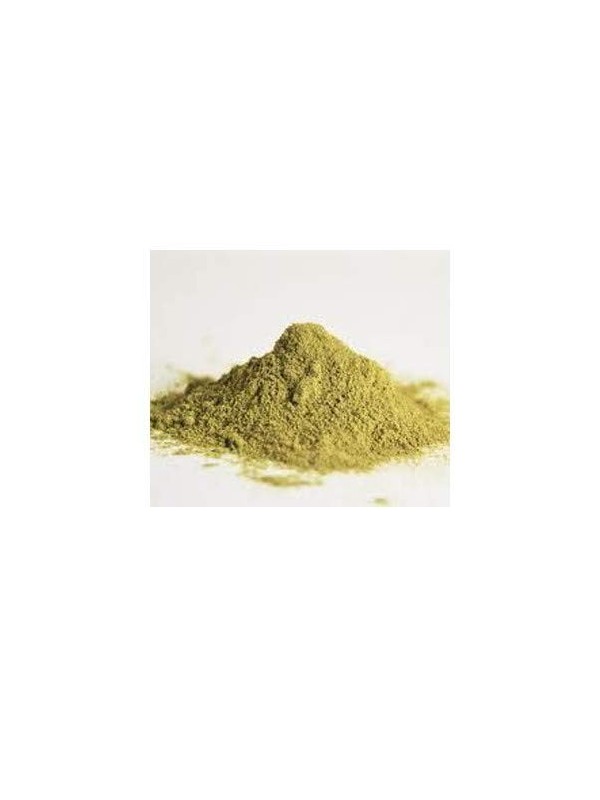 sidr en poudre - jujubier en poudre - env 25gr
