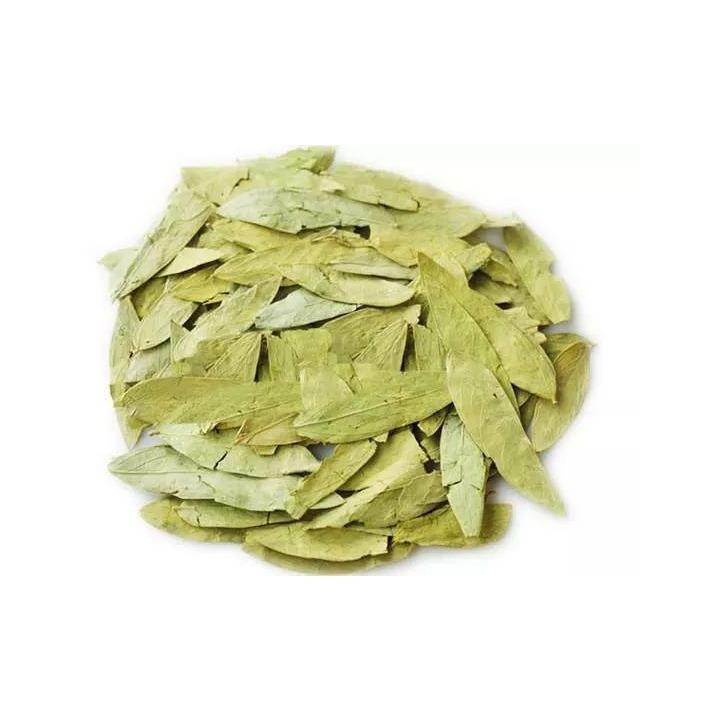 feuille de séné - sana makki