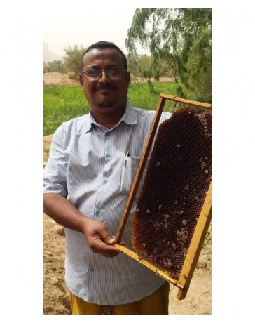 Miel de Sidr du Yemen Royal Maliki ( miel de jujubier )  500 gr