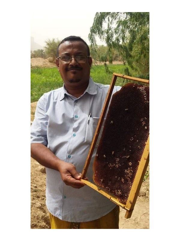 Miel de Sidr du Yemen Royal Maliki ( miel de jujubier )  500 gr