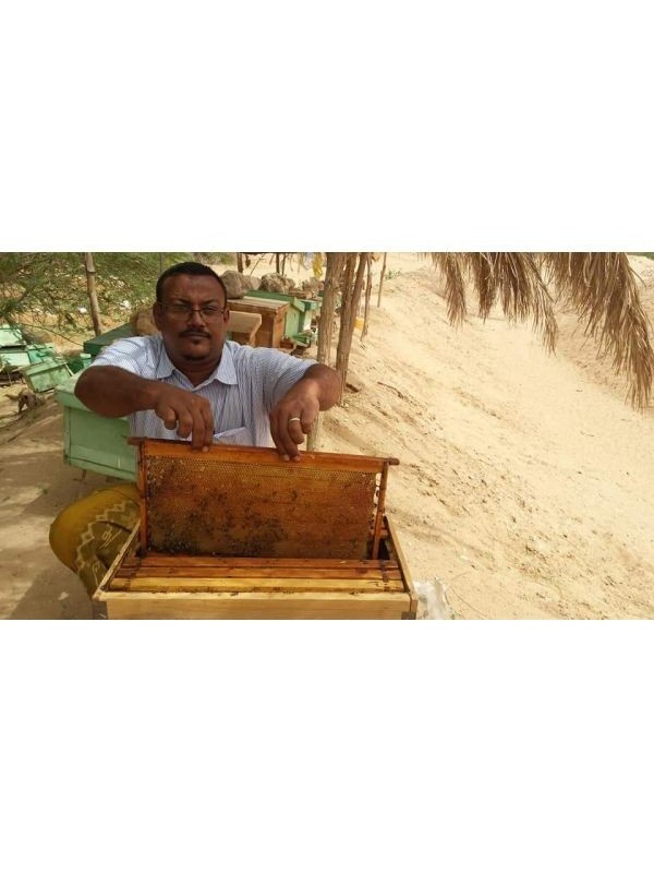 Miel de Sidr du Yemen Royal Maliki ( miel de jujubier )  500 gr