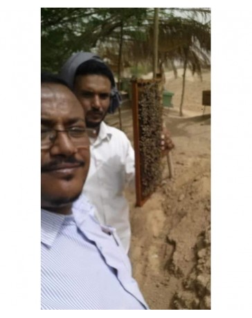 Miel de Sidr du Yemen Royal Maliki ( miel de jujubier )  500 gr