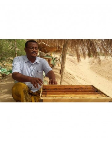 Miel de Sidr du Yemen Royal Maliki ( miel de jujubier )  500 gr