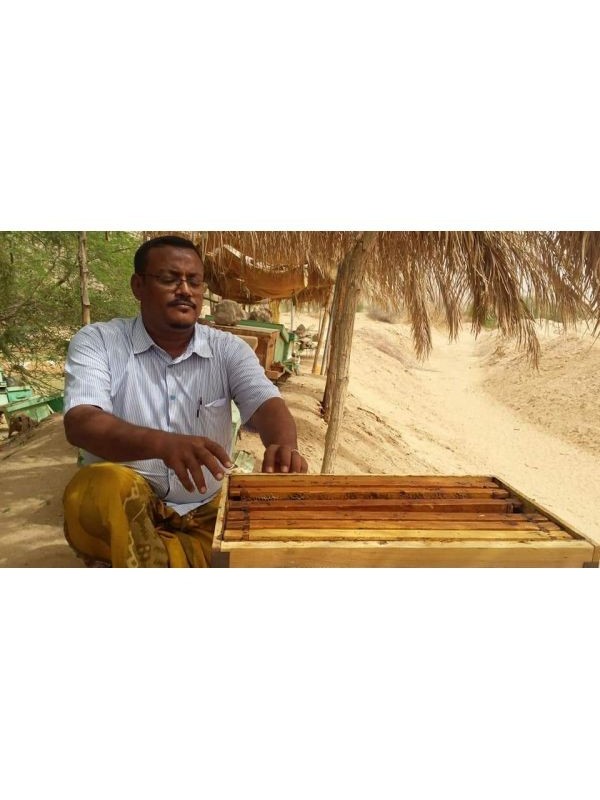 Miel de Sidr du Yemen Royal Maliki ( miel de jujubier )  500 gr